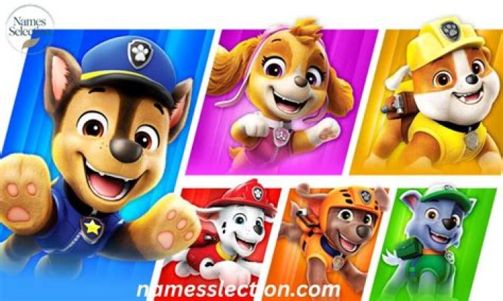 Paw Patrol Names of Pups: A Complete Guide to the Beloved Characters