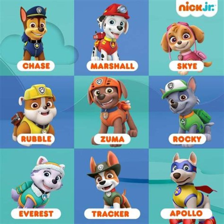 Paw Patrol Pups Names: Meet the Heroes of Adventure Bay