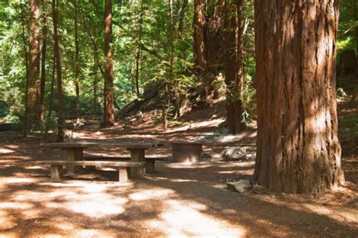 Pfeiffer Big Sur State Park Campground: An Adventurer's Paradise