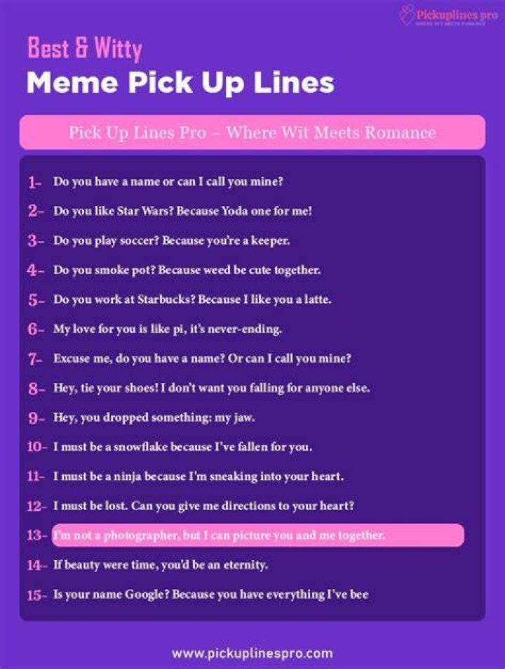 Pick Up Line Meme: The Art of Flirting with Humor