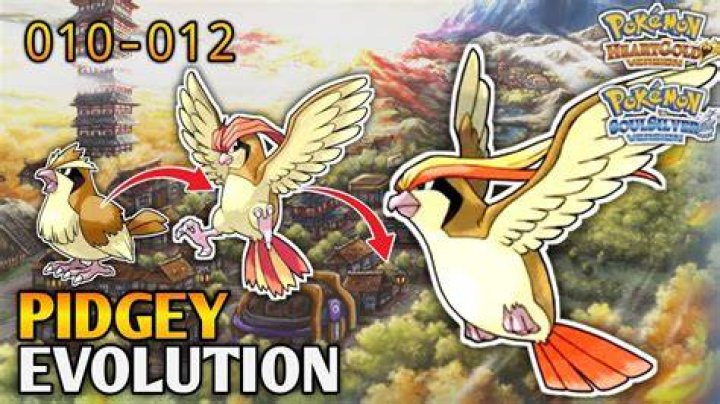 Pidgeotto Evolution: Understanding the Transformation of a Beloved Pokémon