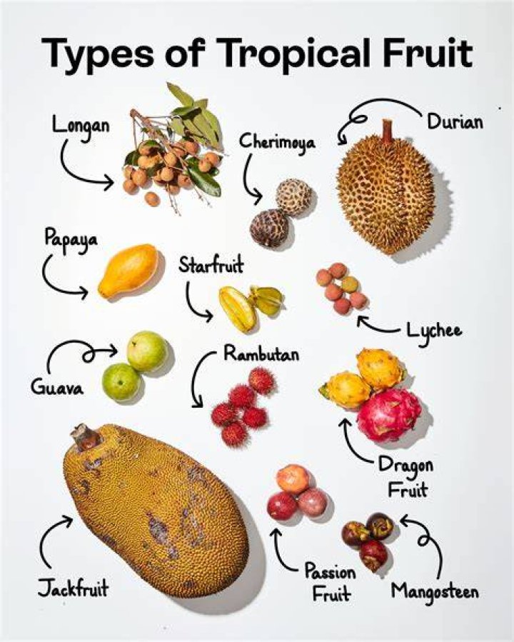 Pirn: The Unique Fruit You Need to Know About