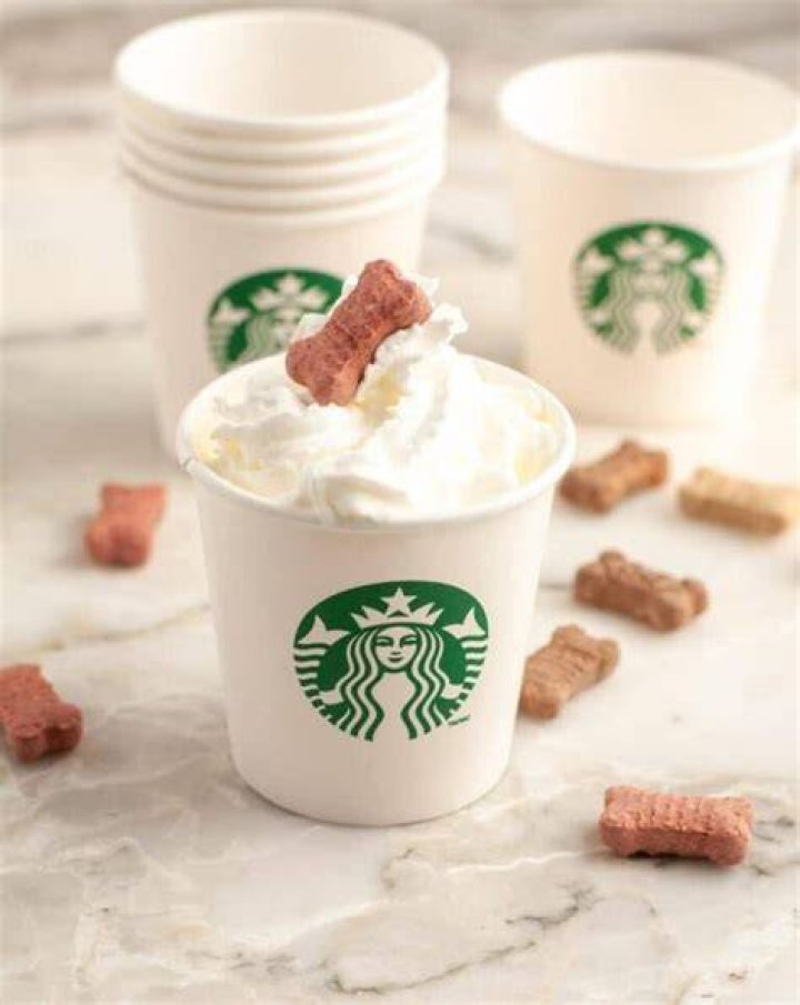 Pup Cup Starbucks: A Delightful Treat for Your Furry Friend