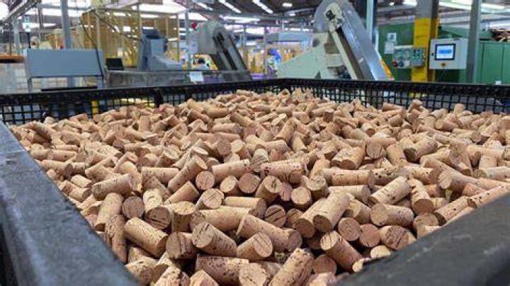 Raise Your Glass: The Essence of Corks Away