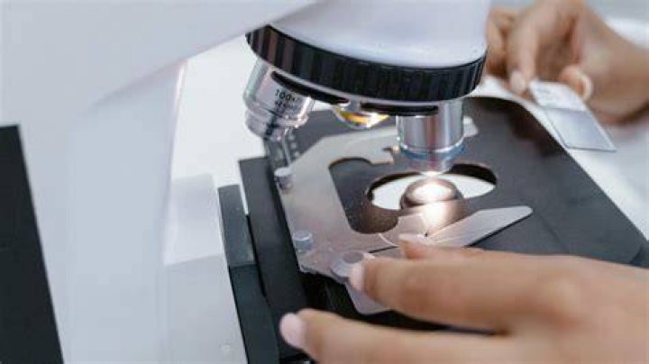 Ramen Listeria: Understanding the Risks and Safety Measures