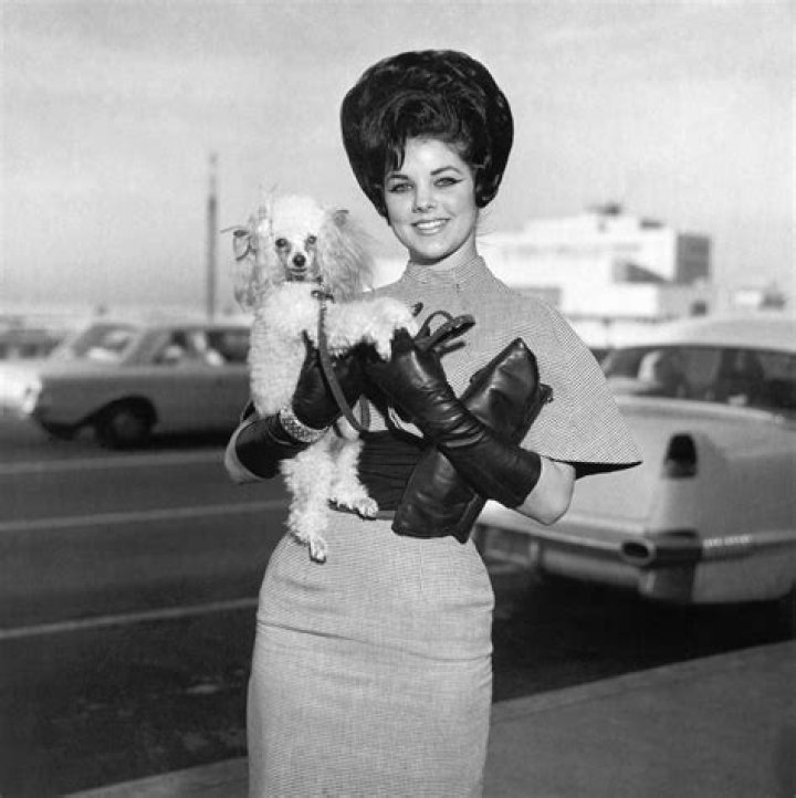 Rare Glimpses: Early Photos of Priscilla Presley