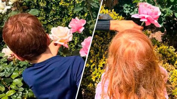 Recent Photos of Lilibet and Archie: Capturing Special Moments