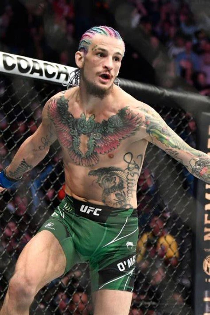 Sean O'Malley Net Worth: Understanding the Rise of a UFC Star