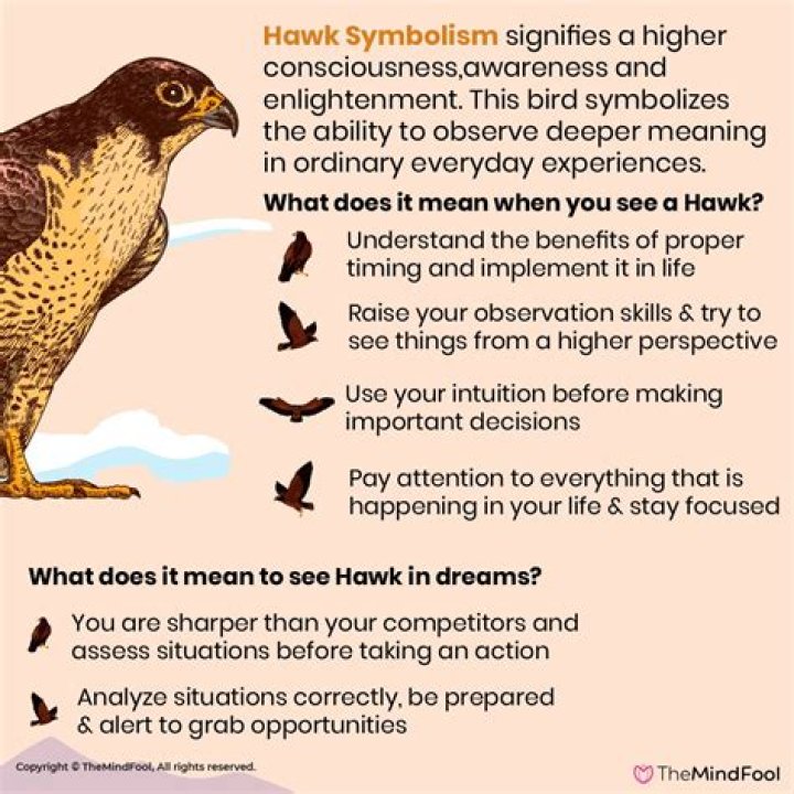Seeing a Hawk Meaning: Unveiling the Symbolism Behind Hawk Sightings