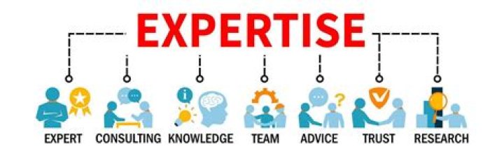 SEO Insights and Expertise from Belinda Emmett