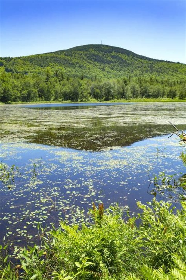 Serenity and Tranquility: The Beauty of Morey Pond