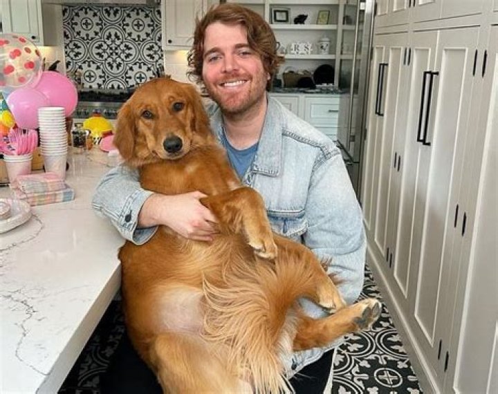 Shane Dawson Net Worth: 2023 Wealth Analysis and Career Insights