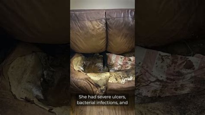 Shocking Evidence: Lacey Ellen Fletcher's Crime Scene Photos Revealed