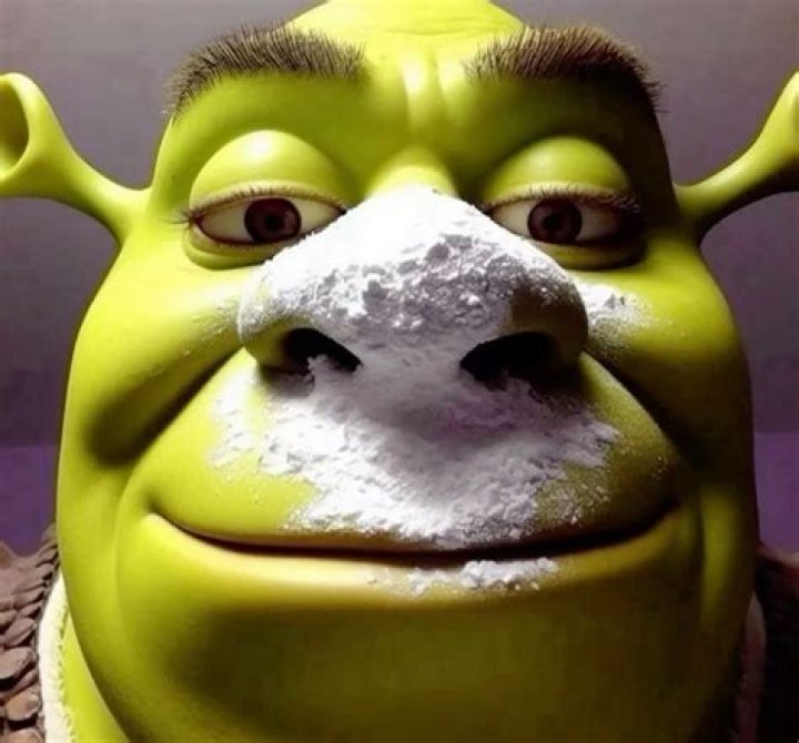 Shrek Inspiration: The Impact of a Beloved Character on Pop Culture