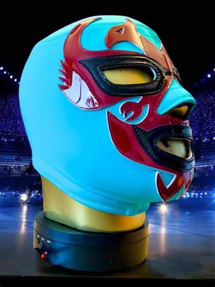 Shrek Luchador: The Unlikely Hero in the Wrestling Ring