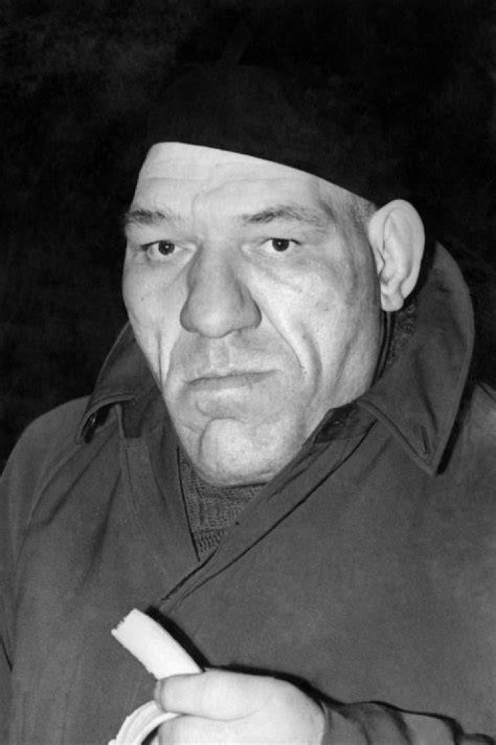 Shrek: The Iconic Wrestler and Cultural Phenomenon