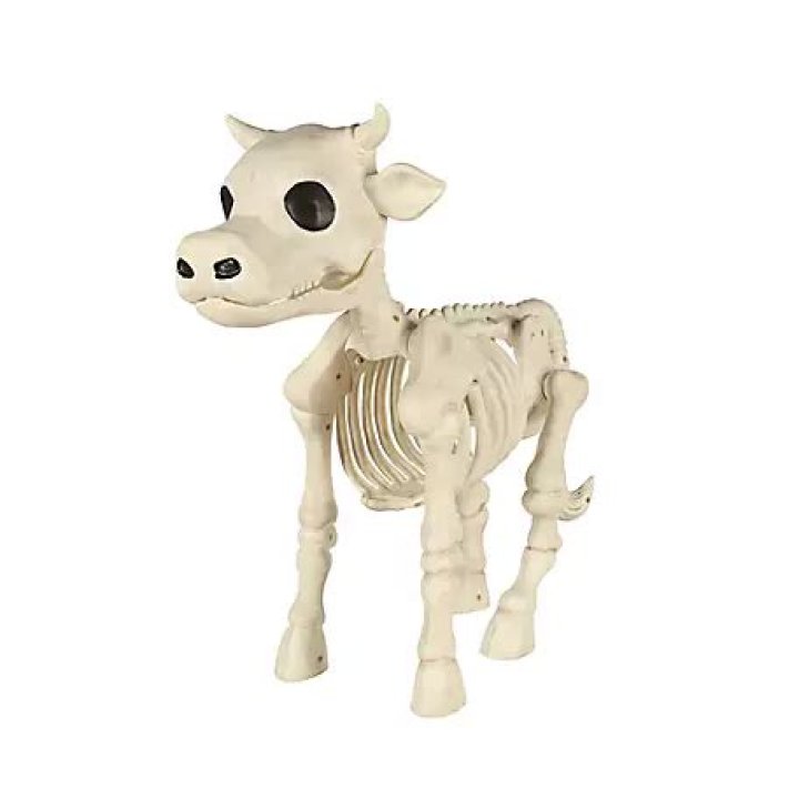 Skeleton Cow Tractor Supply: A Comprehensive Guide to the Unique Agricultural Trend