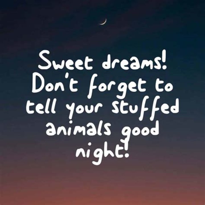 Sleep Funny Good Night Quotes: A Collection to Brighten Your Night