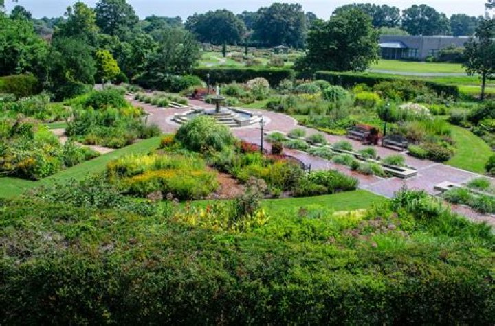 Sneed's Nursery: A Botanical Gem in Richmond, Virginia