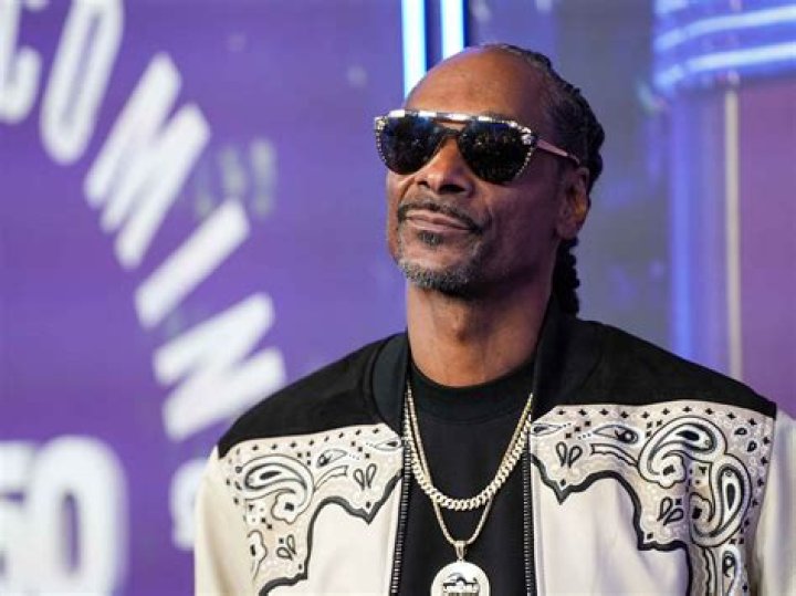 Snoop Dogg's Intriguing Legal Journey: A Detailed Examination of His Criminal Record