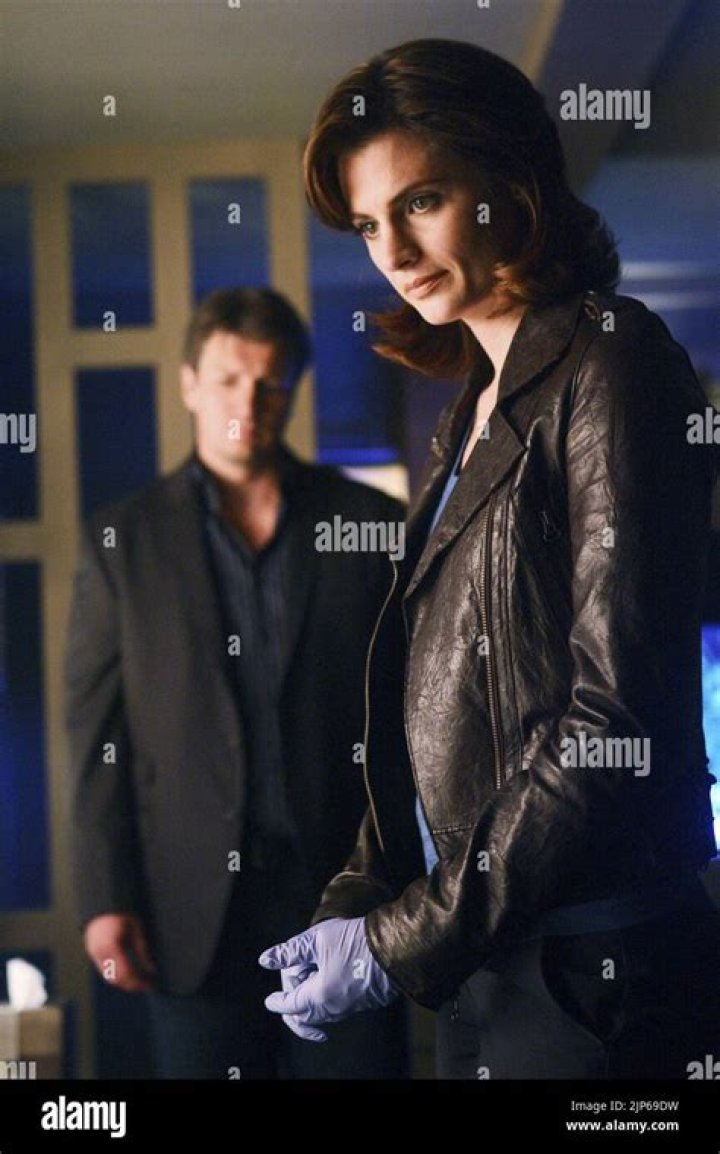 Stana Katic and Nathan Fillion: A Deep Dive into Their Relationship