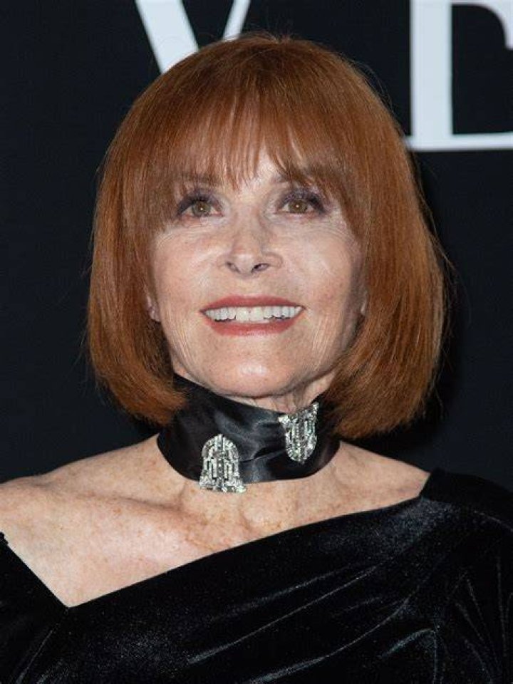 Stephanie Powers: A Journey Through the Life and Career of an Iconic Actress