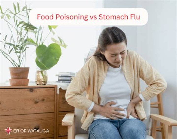Stomach Flu 2024: Everything You Need to Know
