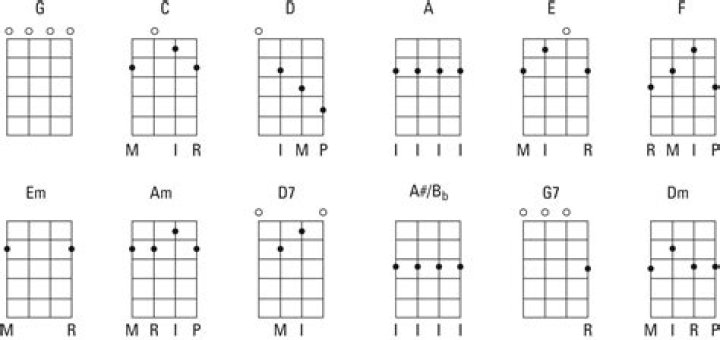 Strumming the Strings of Personality: The Banjo PFP Phenomenon