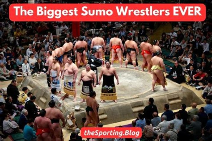 Sumo Wrestler 2024: The Evolution of an Ancient Sport