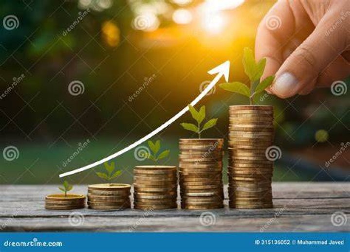 Sunflow Net Worth: Insights into Growth and Financial Success