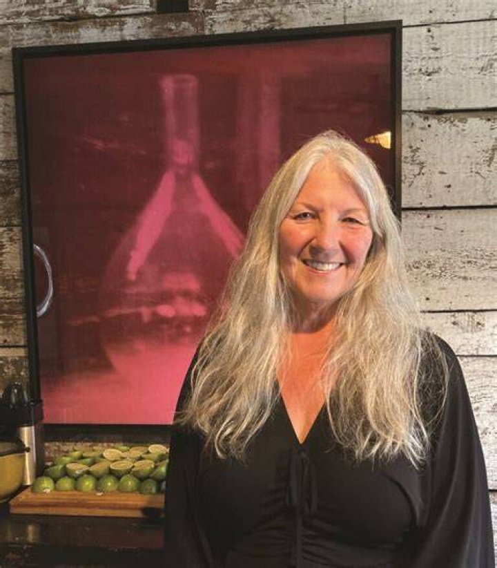 Susan Mikula: The Life and Career of an Acclaimed Artist