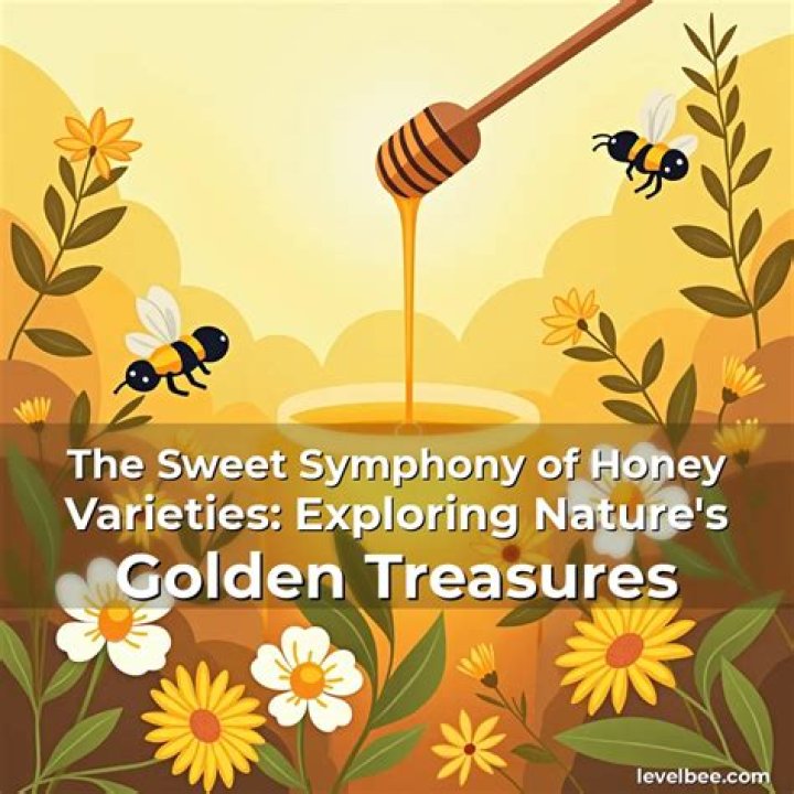 Sweet Symphony: The World of Honey Toon