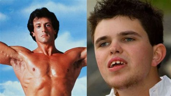 Sylvester Stallone's Sons: A Deep Dive into Their Lives and Careers