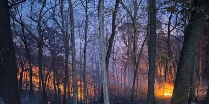 Tennessee Forest Fire: A Struggle Against Nature's Fury