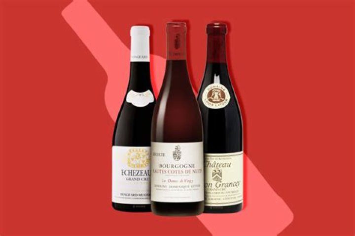 The Alluring World of Burgundy Red: A Comprehensive Exploration