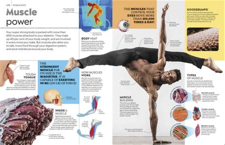 The Boring Magazine: Your Ultimate Guide to the World of Unconventional Entertainment