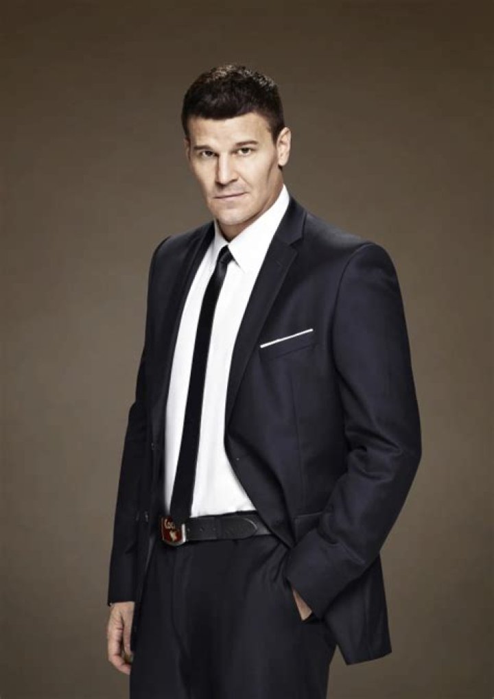 The Captivating Journey of the Actor Who Played Seeley Booth