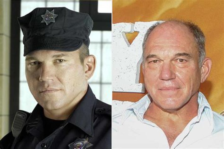 The Captivating Journey of Who Played Brad Bellick: A Deep Dive into the Life and Career of Wade Williams