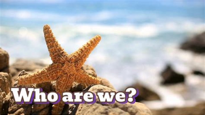 The Comprehensive Guide to Understanding Mya Kids: A Dive into Their World