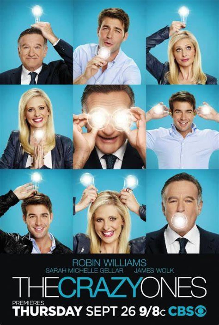 The Crazy Ones TV Show: A Comprehensive Overview