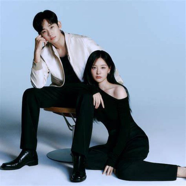 The Dynamic Duo: Kim Soo Hyun and Kim Ji Won - A Star-Studded Profile