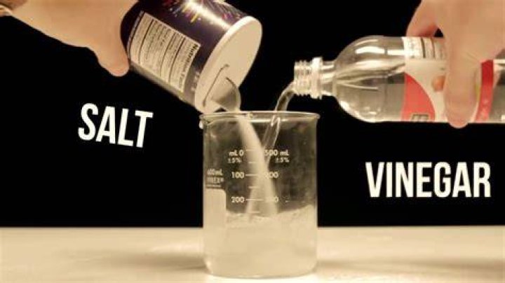 The Ed Salt Trick: A Comprehensive Guide to Enhancing Your Cooking