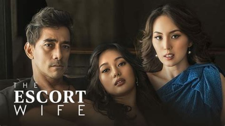 The Escort Wife: Understanding the Complexities and Realities