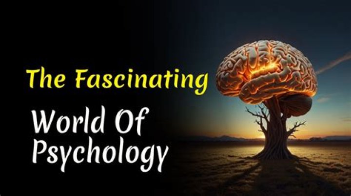 The Fascinating Journey of Jasonudakis: A Comprehensive Insight