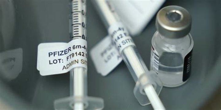 The Flizer: A Comprehensive Guide to Understanding Its Impact and Usage