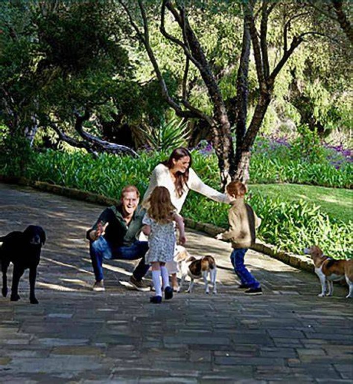 The Future of Archie and Lilibet in 2024: Insights and Expectations