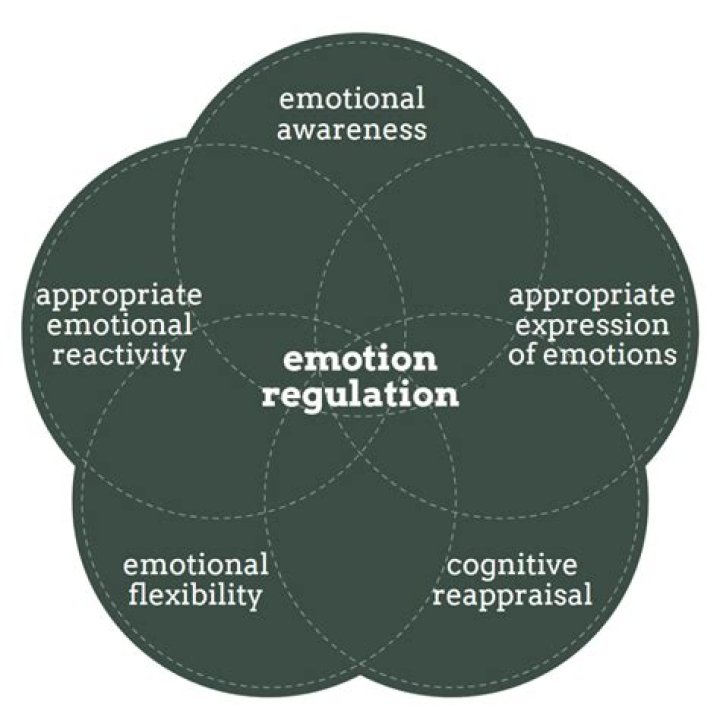 The Hailey Effect: Understanding Emotional Dysregulation