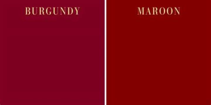 The Intriguing World of Burgundy and Maroon Colour: An Exploration of Their Richness and Depth