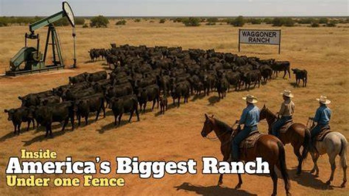 The Largest Ranch in the US: A Comprehensive Guide