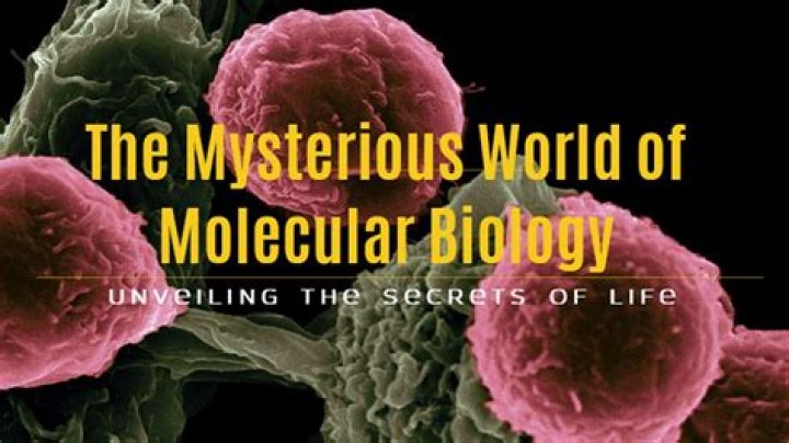 The Mysterious World of MN Meaning